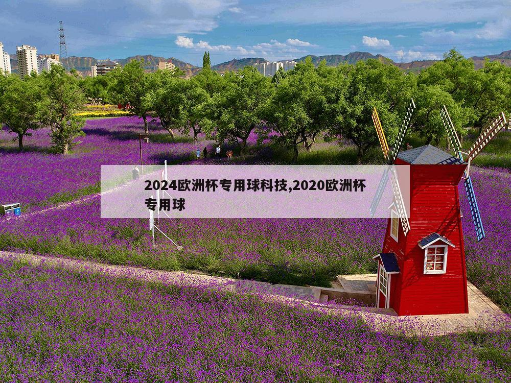 2024欧洲杯专用球科技,2020欧洲杯专用球