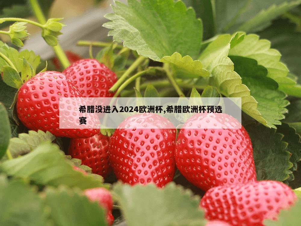 希腊没进入2024欧洲杯,希腊欧洲杯预选赛