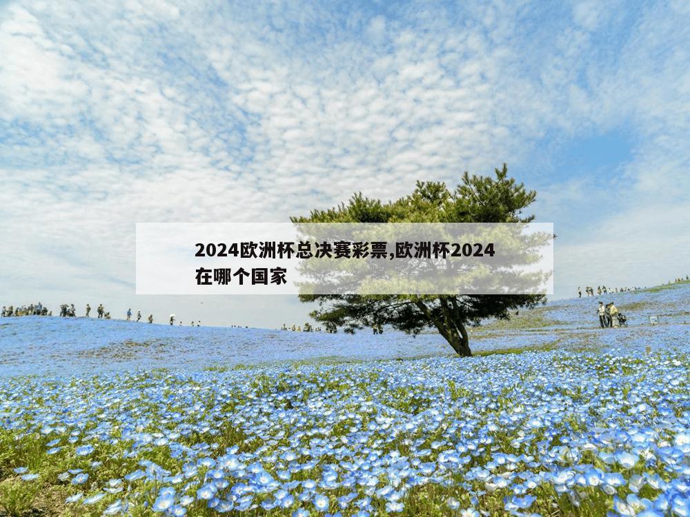 2024欧洲杯总决赛彩票,欧洲杯2024在哪个国家