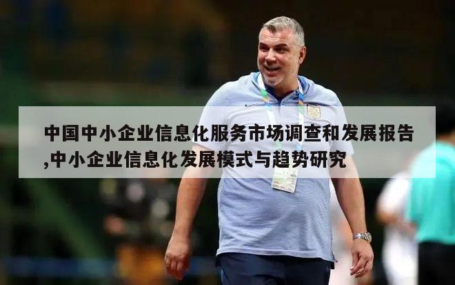 中国中小企业信息化服务市场调查和发展报告,中小企业信息化发展模式与趋势研究