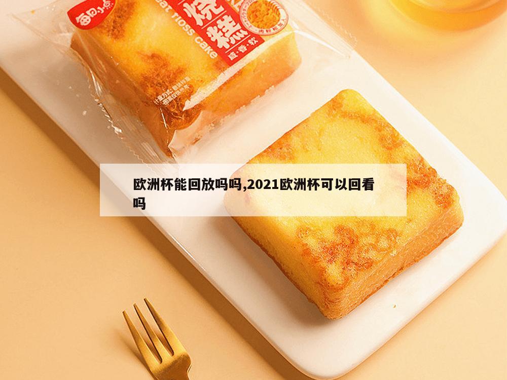 欧洲杯能回放吗吗,2021欧洲杯可以回看吗