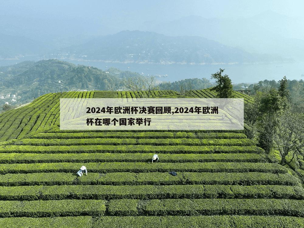 2024年欧洲杯决赛回顾,2024年欧洲杯在哪个国家举行