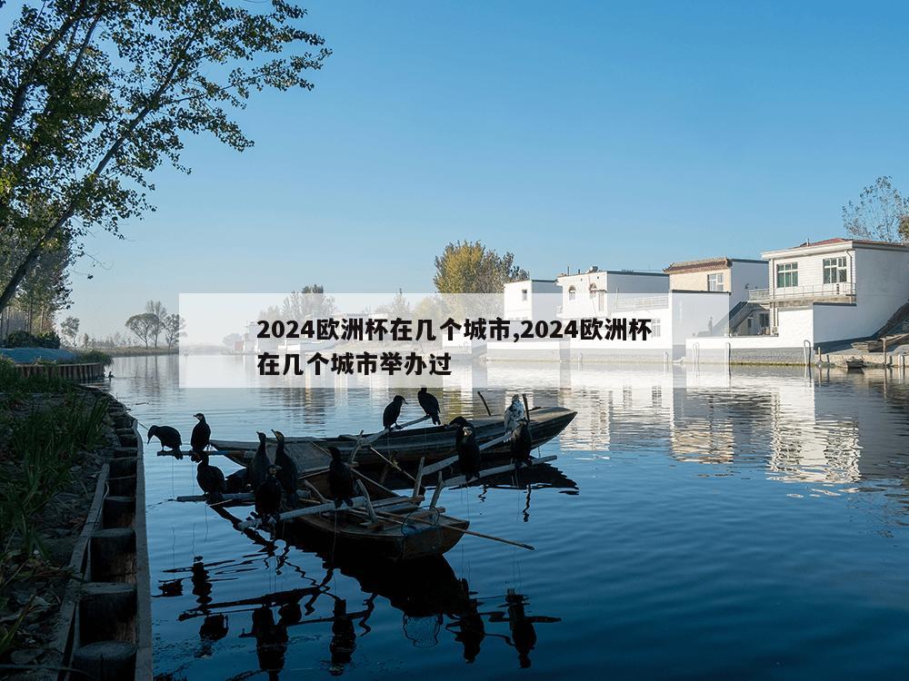 2024欧洲杯在几个城市,2024欧洲杯在几个城市举办过